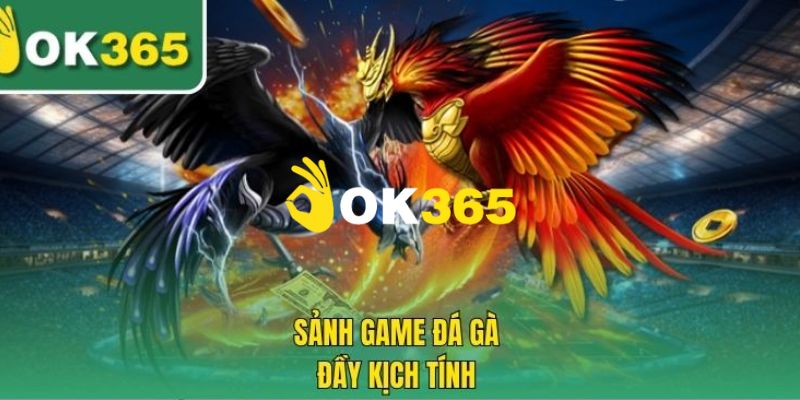 Ok365 | Link Trang Chủ Ok365.com Chính Thức 2026 Nhận +65K 18 Chuyên mục đá gà hấp dẫn đỉnh cao 2026